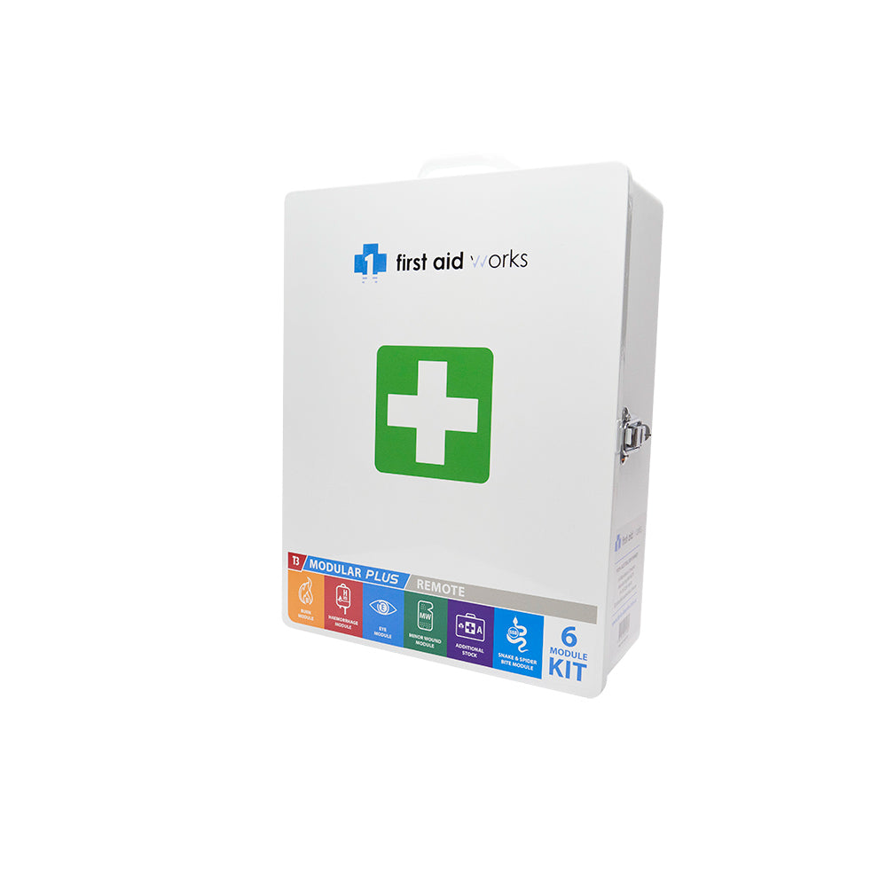 Modular Remote First Aid Kit in Metal Cabinet | Vision Safe