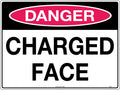 Metal Danger Charged Face Sign | Mining and Construction | Uniform Safety Signs
