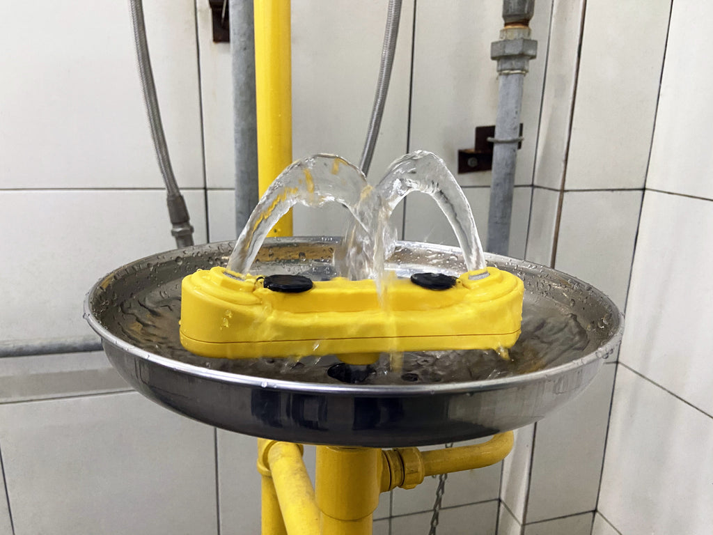 Stainless Steel Safety Shower and Eyewash Station - view 4
