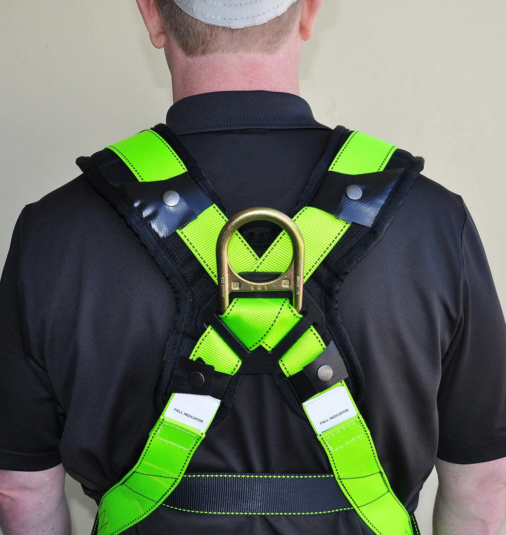 Bailey Universal Padded Harness Professional FS14116