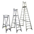 180kg Rated Aluminium Platform Ladder | Industrial Use | Team Systems