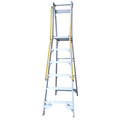 Aluminium Pro Series Handrails | Platform Ladders | Indalex