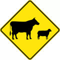 750x750mm Aluminium Stock Ahead Sign | Roadworks | Uniform Safety Signs
