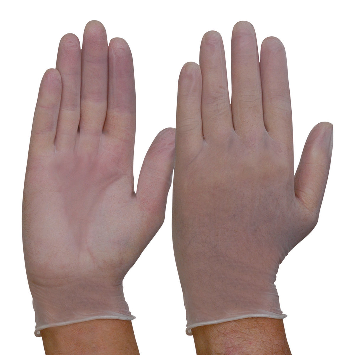 Disposable Vinyl Powder Free Gloves | PIP, view 3