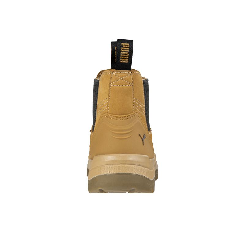 Tanami Wheat Safety Boot - All